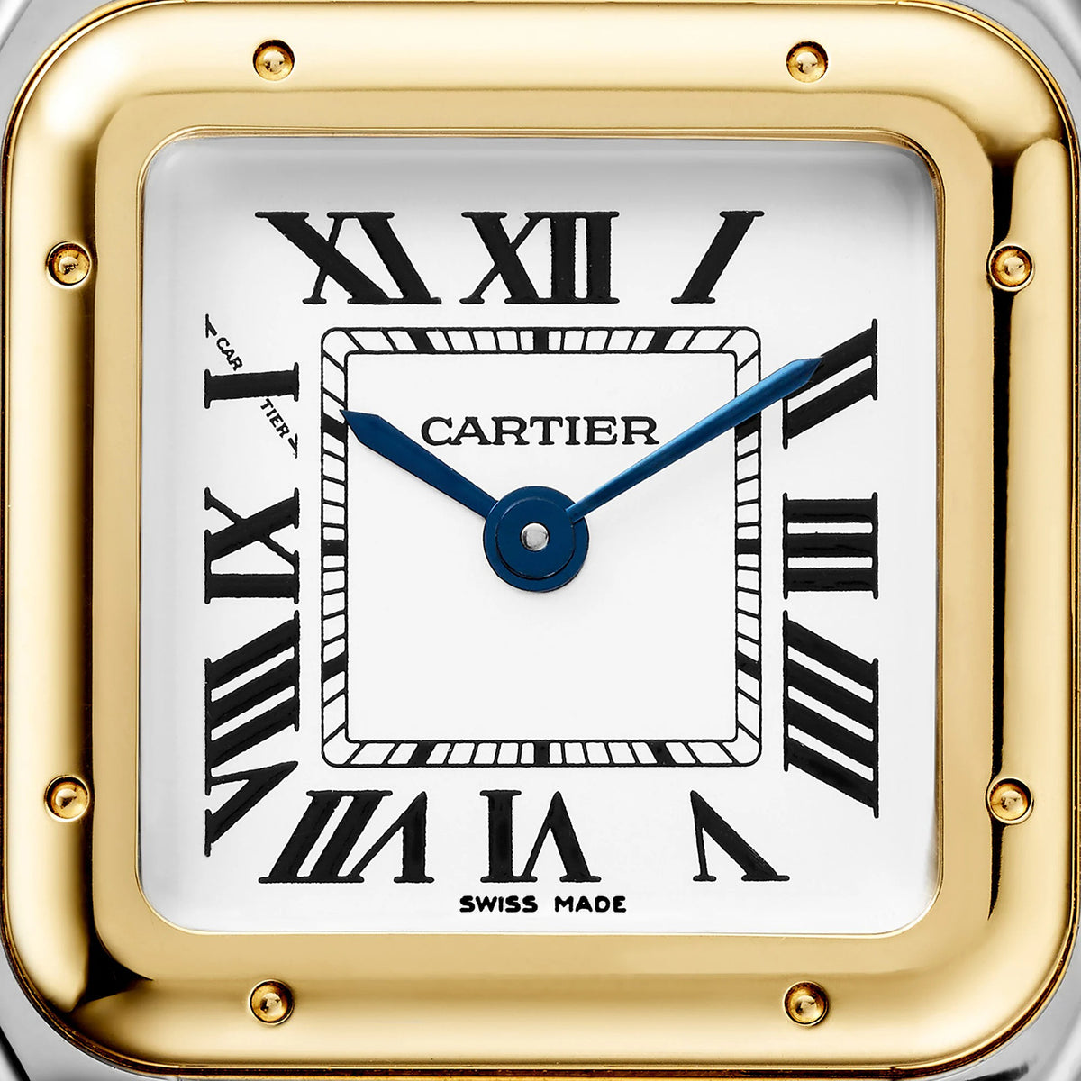 Cartier Panthere De Cartier Watch, Small Model, Quartz Movement, Yellow Gold, Steel W2PN0018