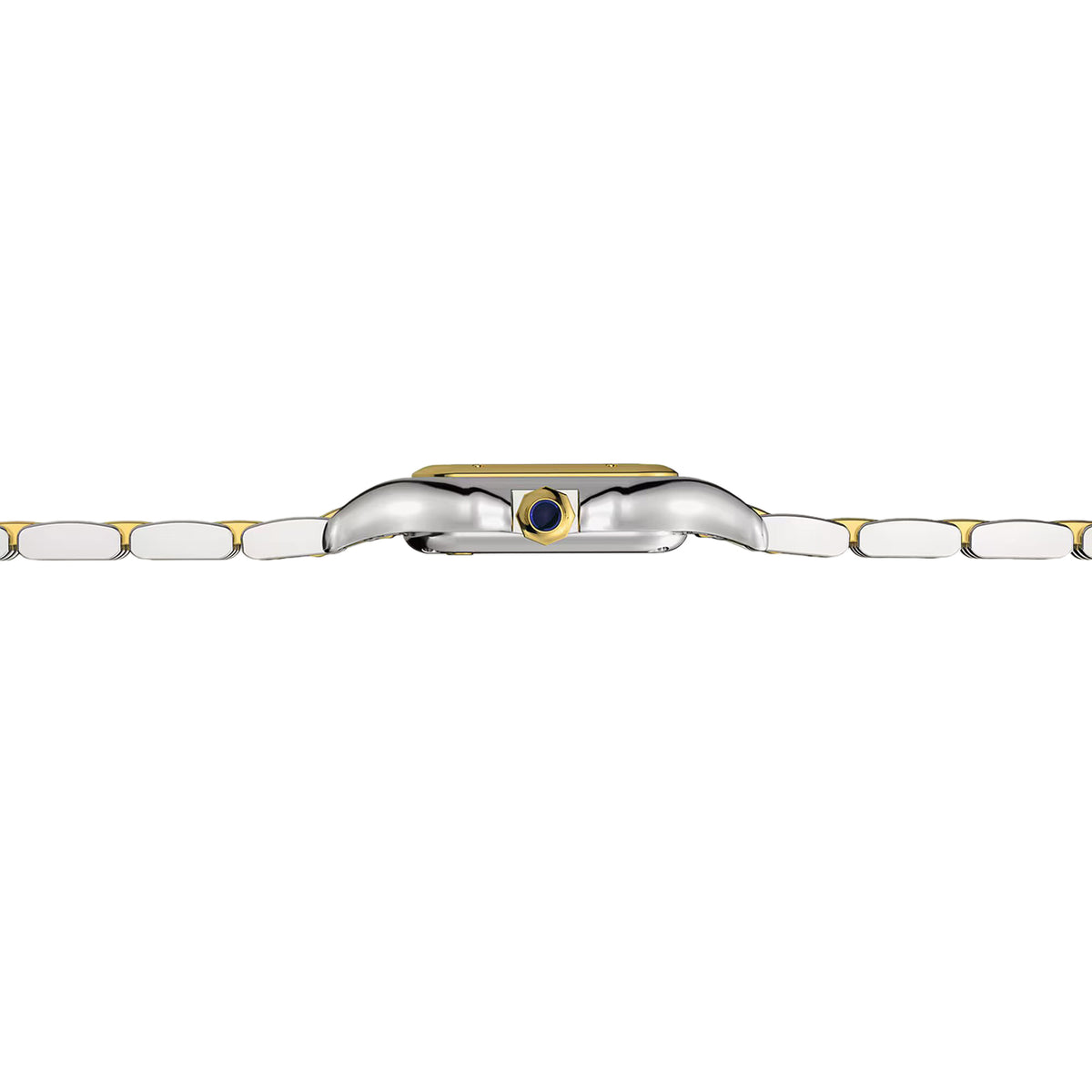 Cartier Panthere De Cartier Watch, Small Model, Quartz Movement, Yellow Gold, Steel W2PN0018